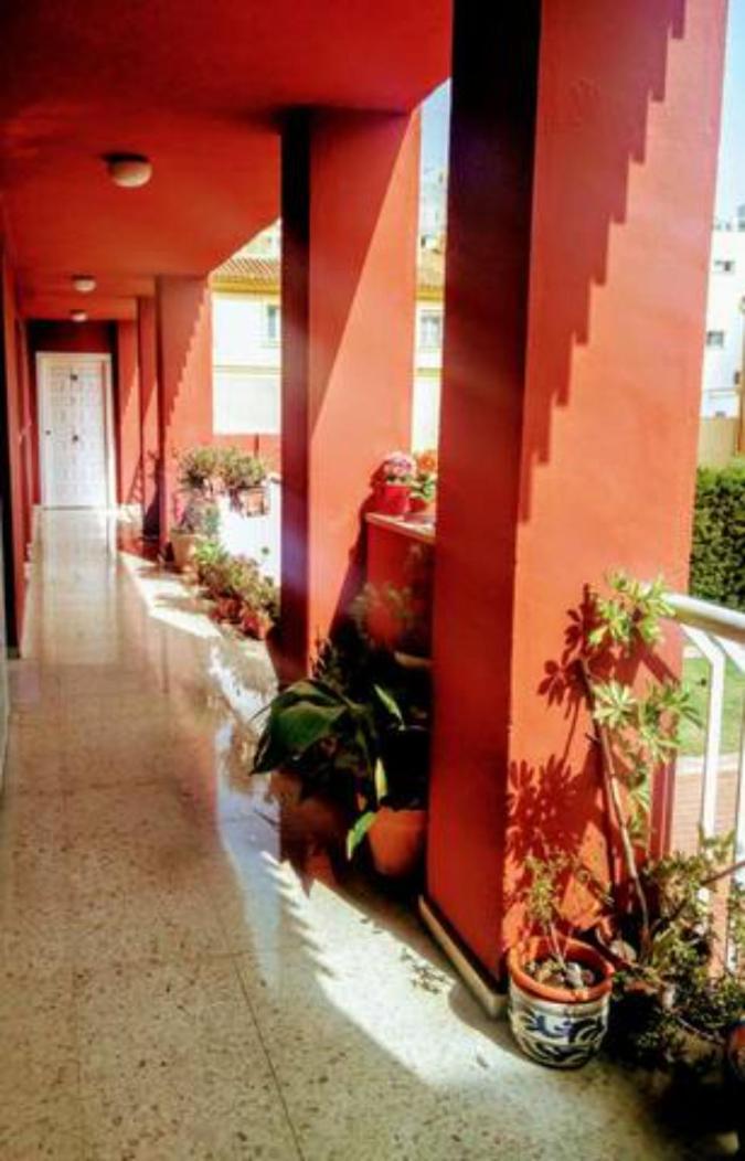 Bolivia Beach Apartments 马拉加 外观 照片